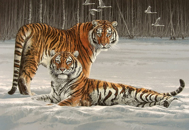 Siberian Splendor, siberian, art, tiger, animal, winter, iarna, bird, snow, painting, tigru, fuz caforio, pictura, couple, HD wallpaper