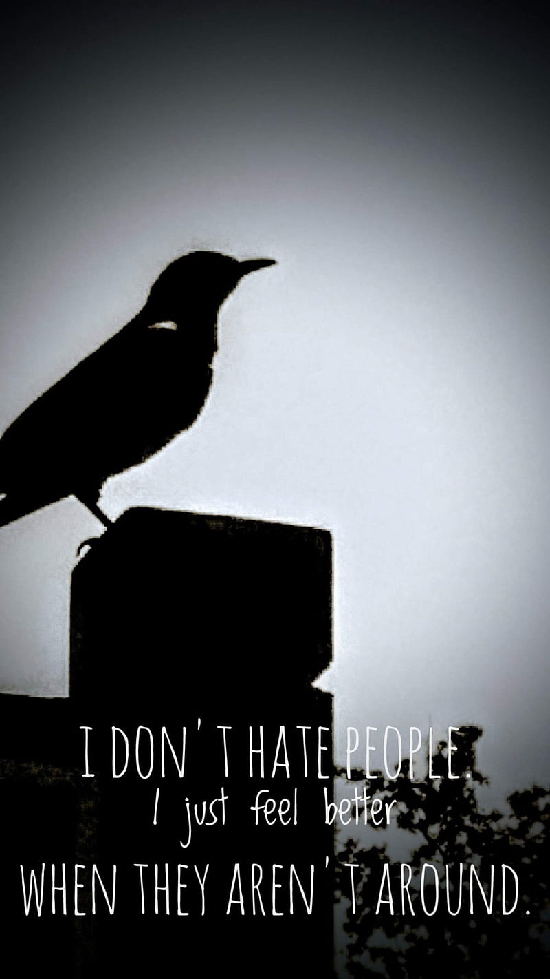 Dark crow , birds, crows, ravens, HD phone wallpaper
