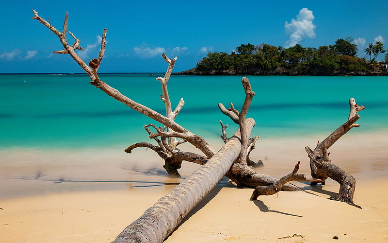 Samana, tropical island, ocean, summer, coast, Dominican Republic, North Atlantic Ocean, HD wallpaper