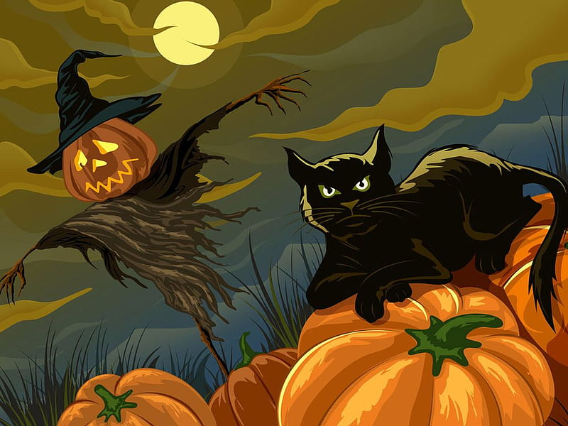Halloween night, october 31, moon, holiday, halloween, pumpkin, cat, HD wallpaper