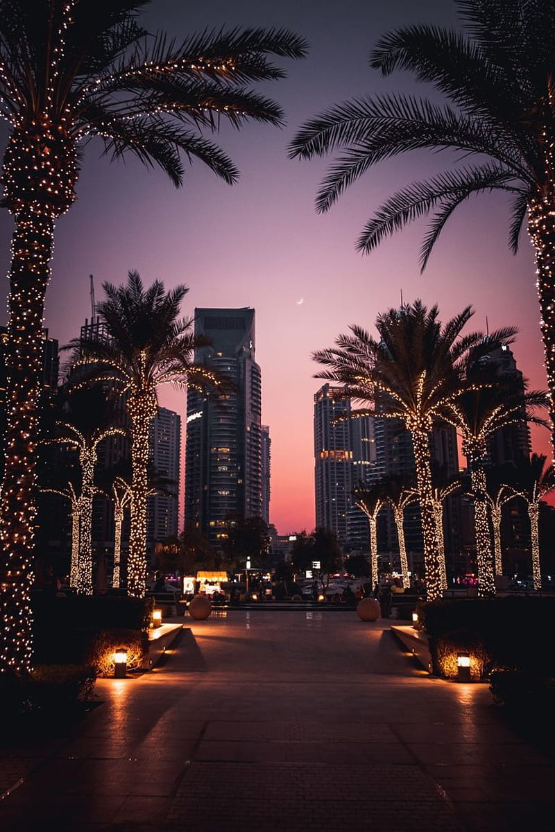 Mei writes on +10000 's Background . City walk dubai, Dubai aesthetic, Dubai city, HD phone wallpaper