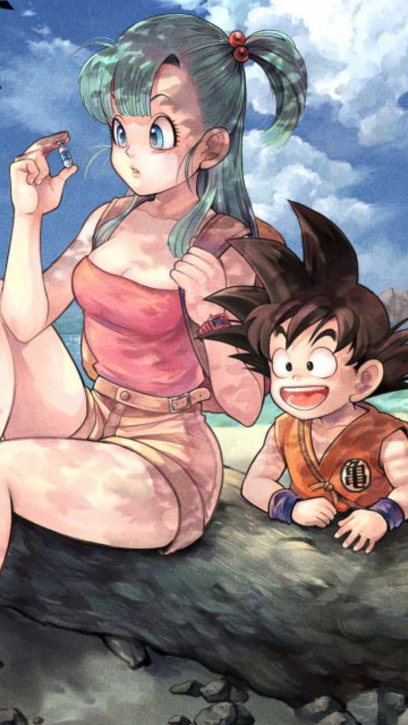 Bulma and Goku, dragon, ball, anime girl, beach, HD phone wallpaper | Peakpx