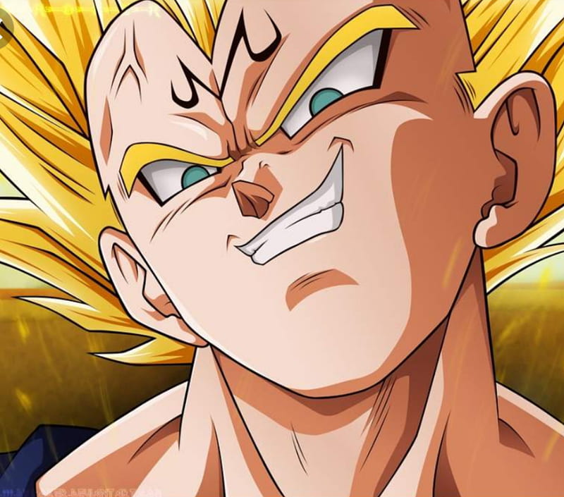 Goku Majin Vegeta Transform Into SSJ2 1080p HD
