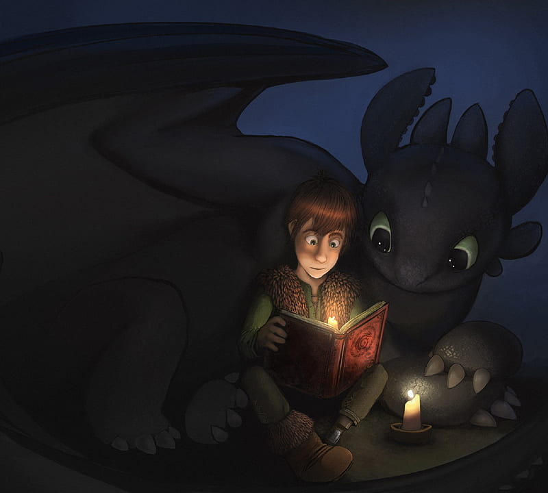 Toothless, dragon, hiccup, how to train your dragon, HD wallpaper