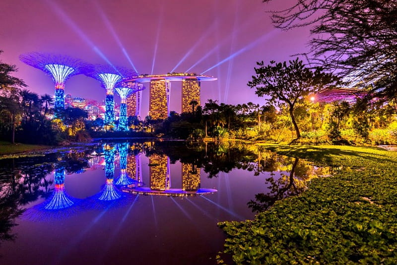 SINGAPORE CITY AT NIGHT, architecture, brright colors, place, bonito, sky, clouds, lake, lights, tree, leaves, splendor, rays, nature, landscape, night, HD wallpaper