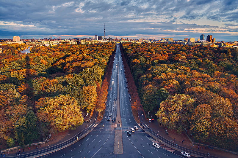 Berlin Houses Roads Trees, road, trees, graphy, autumn, HD wallpaper