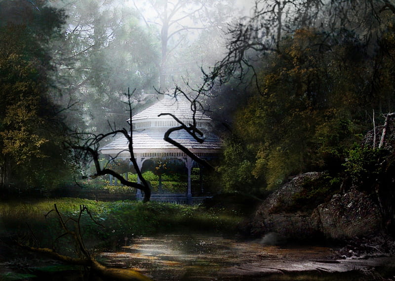 My secret place, forest, unseen, lonely, escape, trees, green, nature,  secret, HD wallpaper | Peakpx