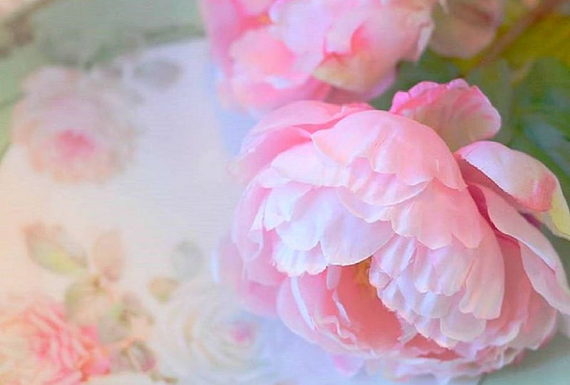 ╭╯With Pastel Peonies╭╯, lovely, romantic, colors, love four seasons, bonito, peonies, sweet, flowers, pastel, beloved valentines, pink, vintage, HD wallpaper