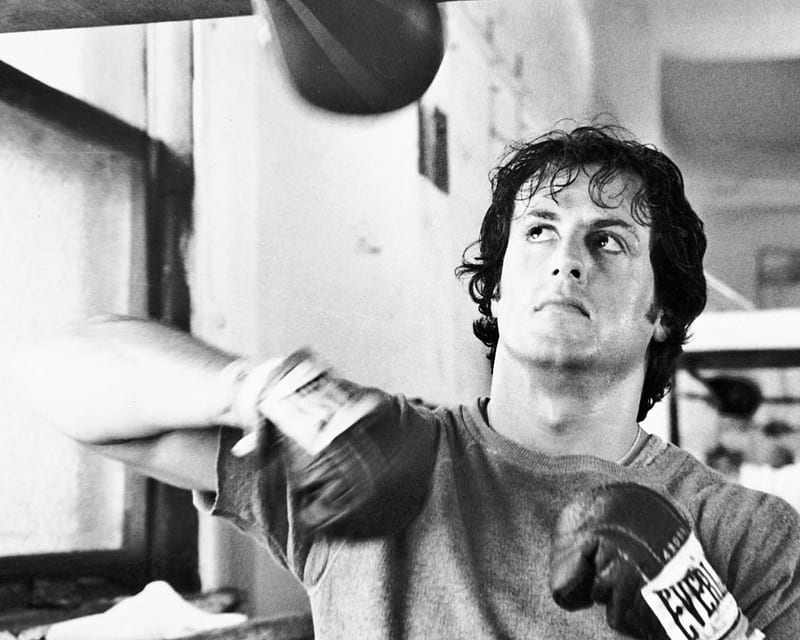 Pics Rocky Balboa [] for your , Mobile & Tablet. Explore Rocky . Rocky Balboa , Rocky Mountain , Rocky, Rocky 1, HD wallpaper