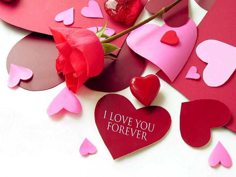 I Love You Forever, Rose, Love, Heart, Romantic, HD wallpaper | Peakpx