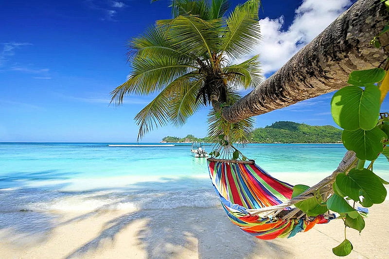 Place to rest, beach, palm, hammock, sea, sky, HD wallpaper