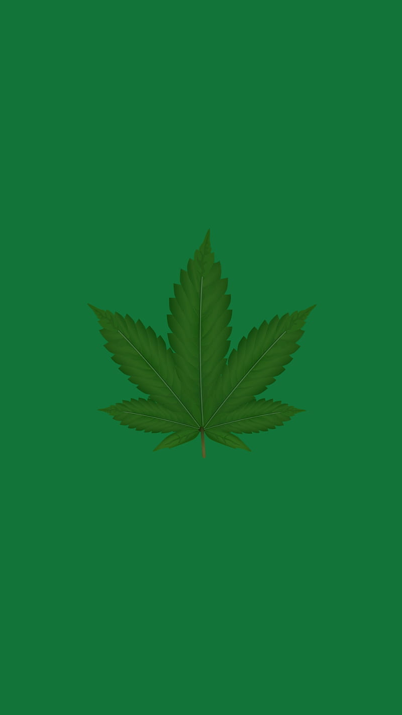 Marihuana, cannabis, porro, HD phone wallpaper
