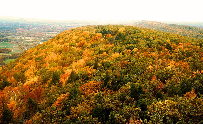 Indian Summer, Connecticut, colors, hills, leaves, trees, HD wallpaper