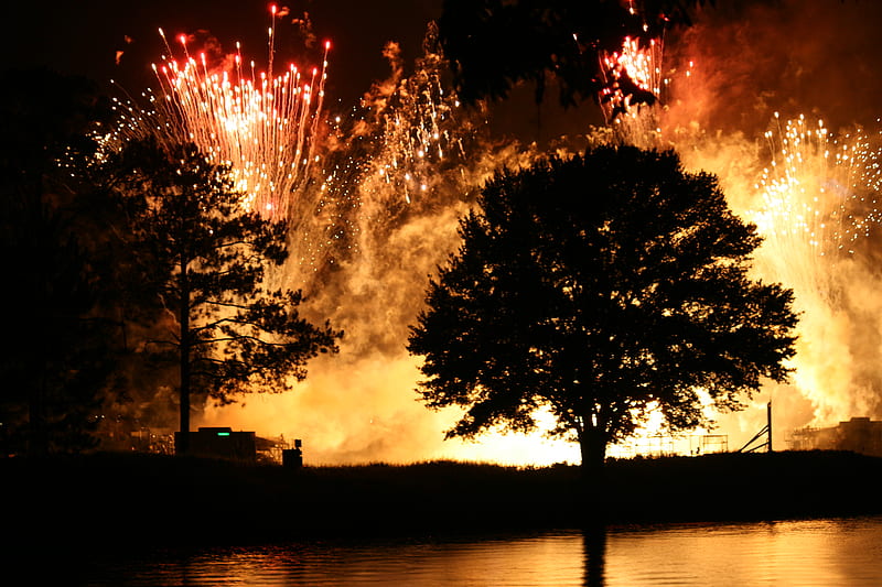 Tree of Fire, fire, tree, lake, fireworks, HD wallpaper