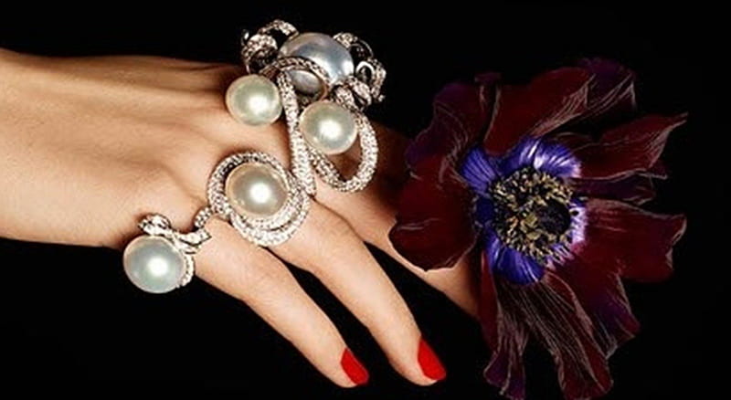 pearls and velvet flower, still life, graphy, flower, bonito, pearls, HD wallpaper