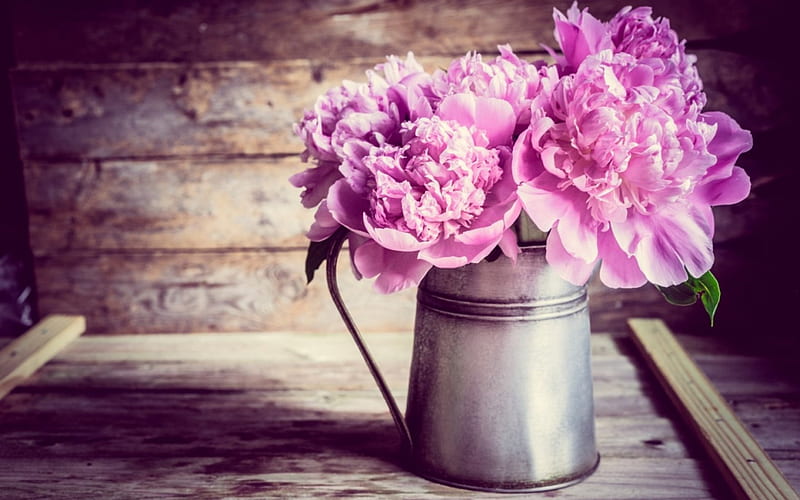 Peonies, peony, metallic, flower, vase, spring, pink, wood, HD wallpaper