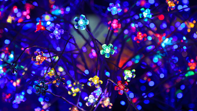 Colorful Bulbs Flowers Neon Colorful, HD wallpaper