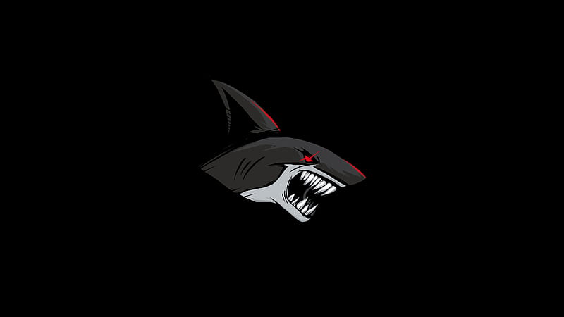 Shark Dark , shark, dark, black, minimalism, minimalist, artist, artwork, digital-art, HD wallpaper