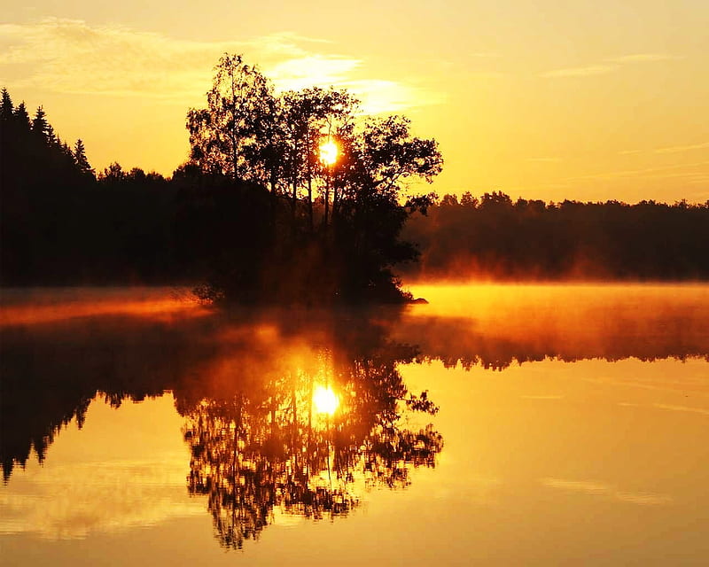 Alljungen, Sweden, forest, orange, nature, sunset, lake, landscape, HD ...