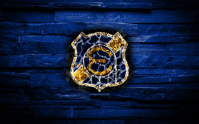 Everton de Vina del Mar FC, burning logo, Chilean Primera Division, blue wooden background, chilean football club, grunge, football, soccer, Everton de Vina del Mar logo, Vina del Mar, Chile, HD wallpaper