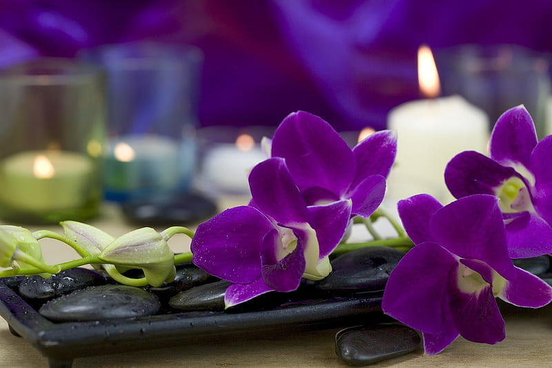 Orchids and Candles, candle, white, purple, relaxing, HD wallpaper