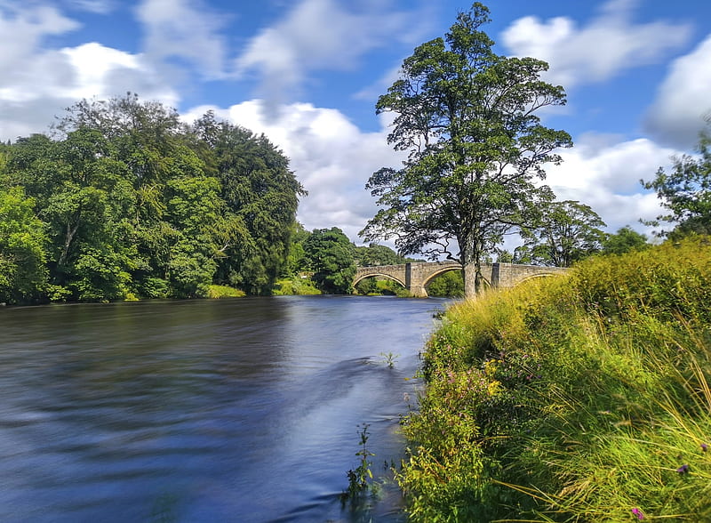 Summer Landscape of North Yorkshire, Rivers, England, Nature, Trees, Landscape, Grass, HD wallpaper