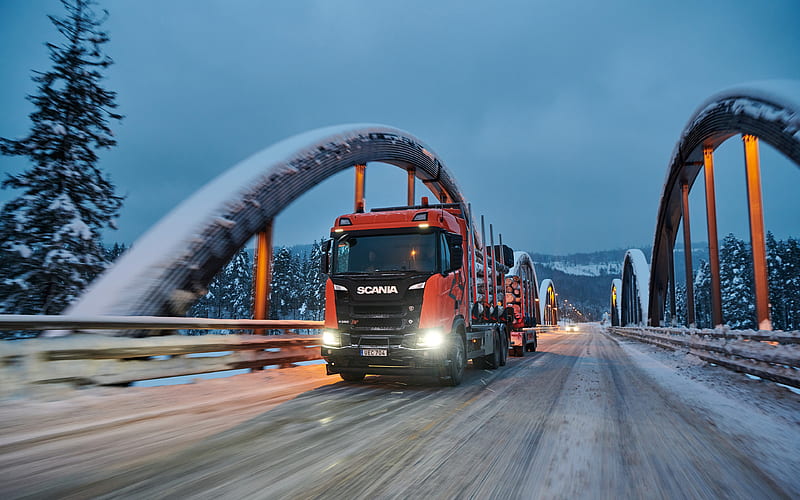 Scania R580 timber truck, 2019 trucks, LKW, cargo transport, 2019 Scania R580, trucks, Scania, HD wallpaper
