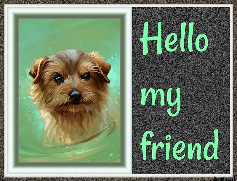 Hello My Friend Friend Comment Card Hello Hd Wallpaper Peakpx