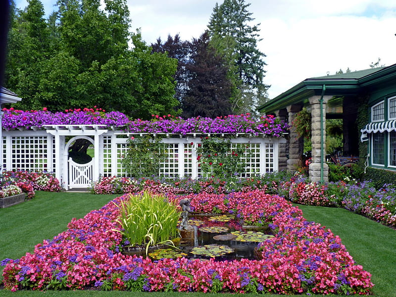 garden, vancouver, flowers, british columbia, bonito, butchart gardens, canada, HD wallpaper