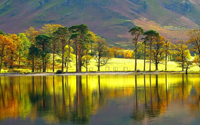 Foothills reflection, mountain, nature, trees, lake, HD wallpaper