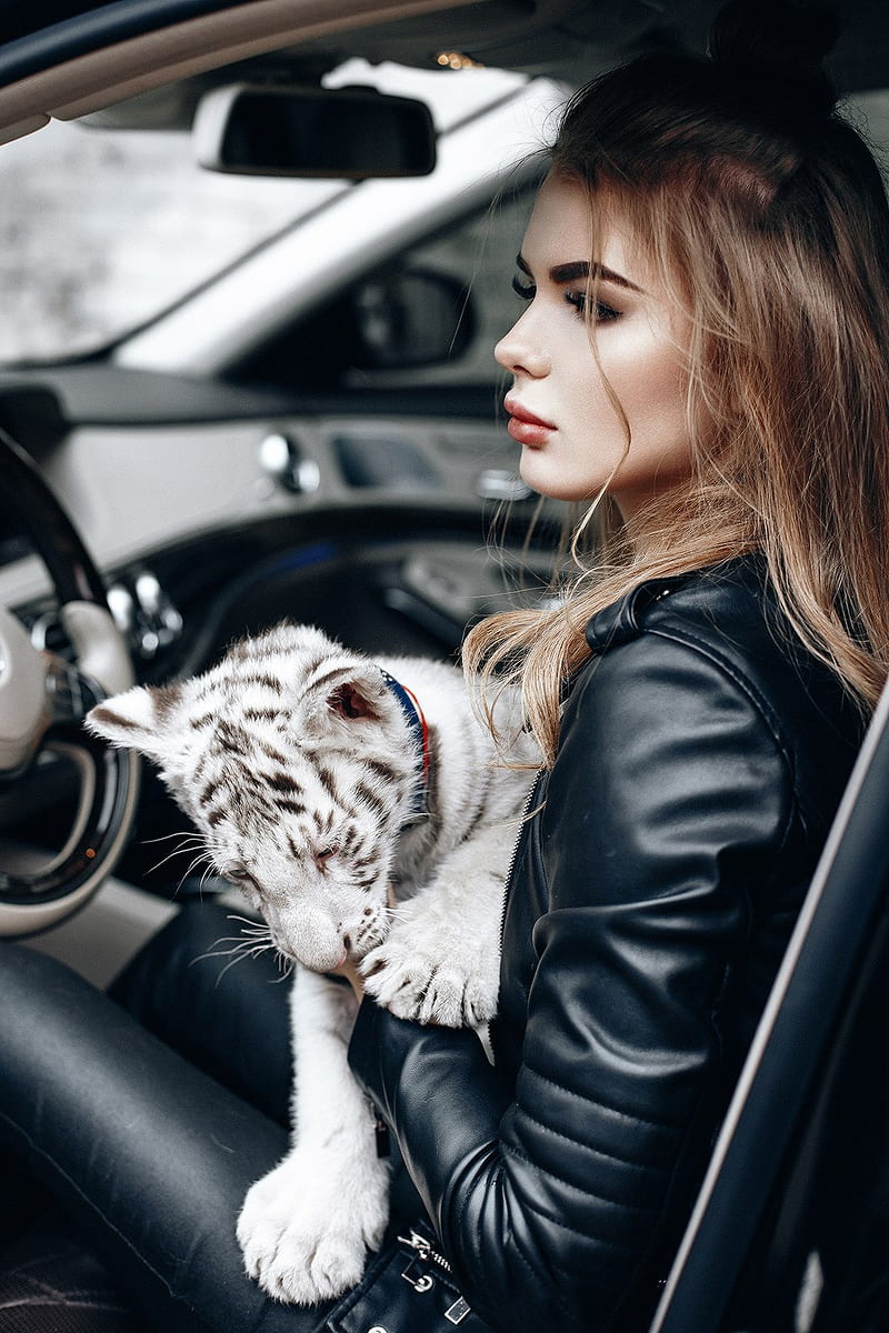 car, animals, women with cars, women, model, leather jackets, leather pants , car interior, inside a car, sitting in the car, young woman, black jackets, black pants, HD phone wallpaper
