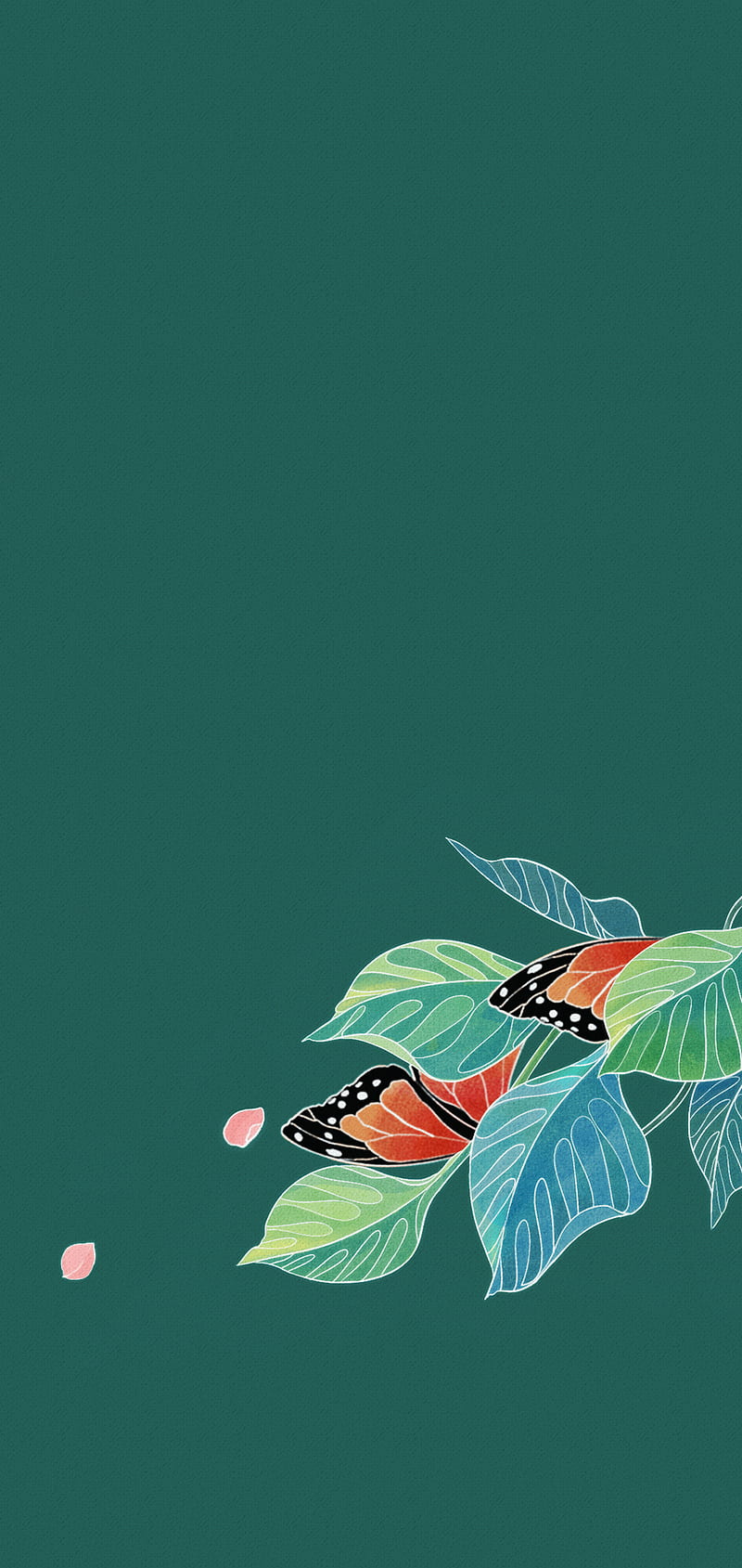 Oppo, butterfly, butterflies, blue, HD phone wallpaper | Peakpx