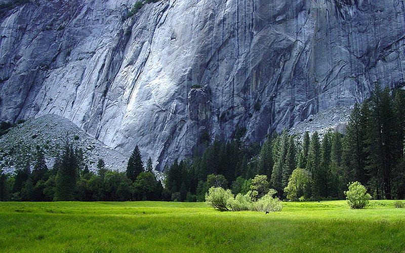 Nature rockface, mountain nature, rockface, trees, HD wallpaper | Peakpx