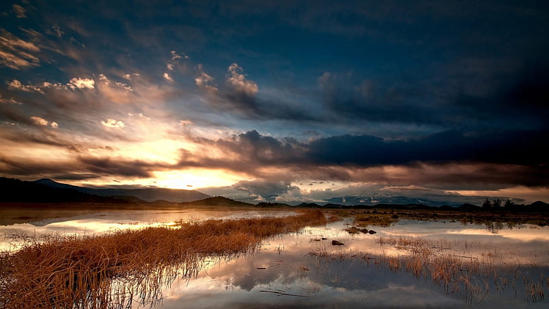 sundown over a grassy lake, sundown, grass, mountains, clouds, lake, HD wallpaper