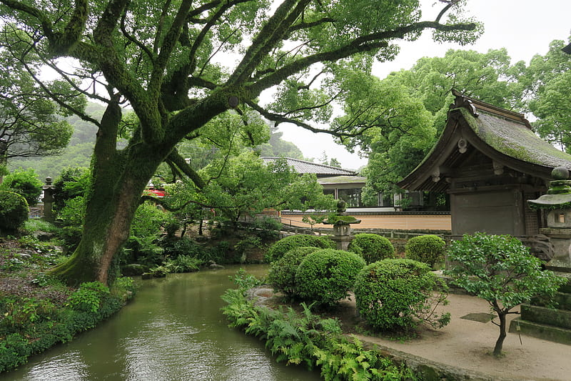 Japanese garden, moss, nature, greenery, plants, HD wallpaper