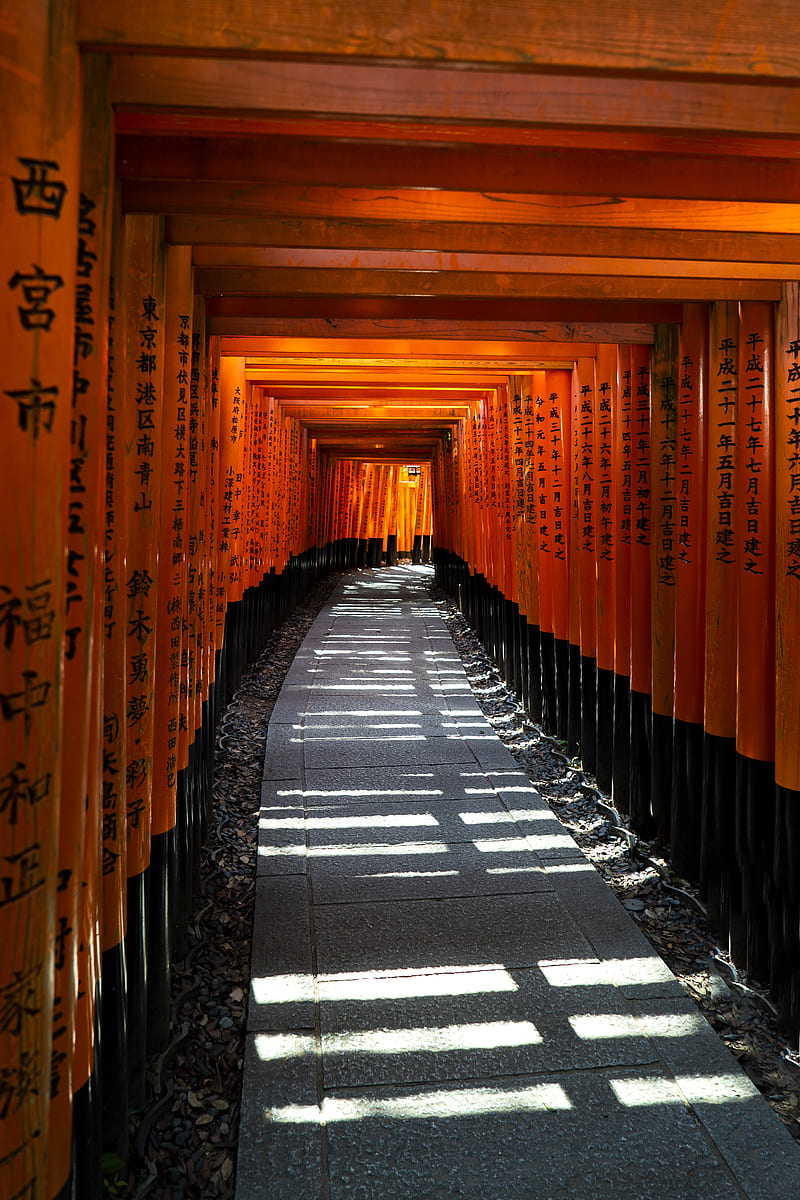 Empty Hallway Hd Mobile Wallpaper Peakpx