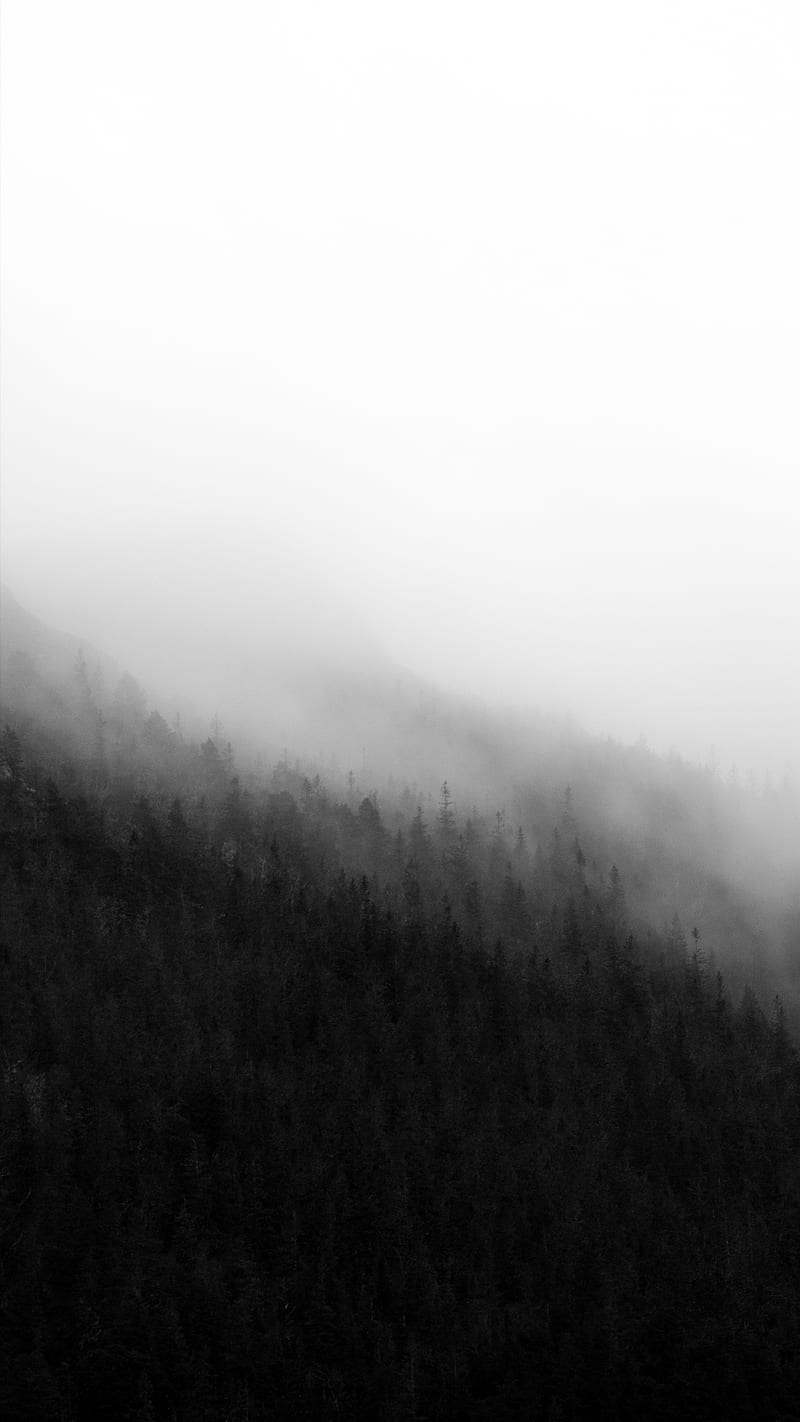 Misty Mountains, The, b&w, blackandwhite, foggy, mountain, nature, scenery, woods, HD phone wallpaper