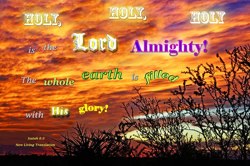 Holy, Holy, Holy, bushes, clouds, sunset, Bible, water, HD wallpaper