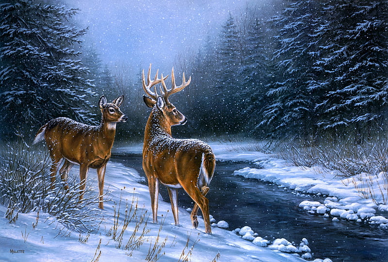 Deers, art, cerb, caprioara, rosemary millette, winter, deer, iarna, water, source, painting, river, pictura, blue, HD wallpaper