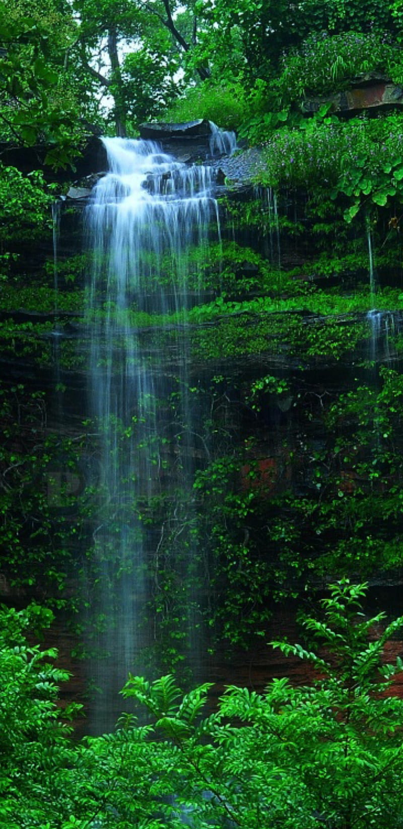 4D waterfull, fall, fall scenes, waterfall, waterfalls, HD phone wallpaper  | Peakpx