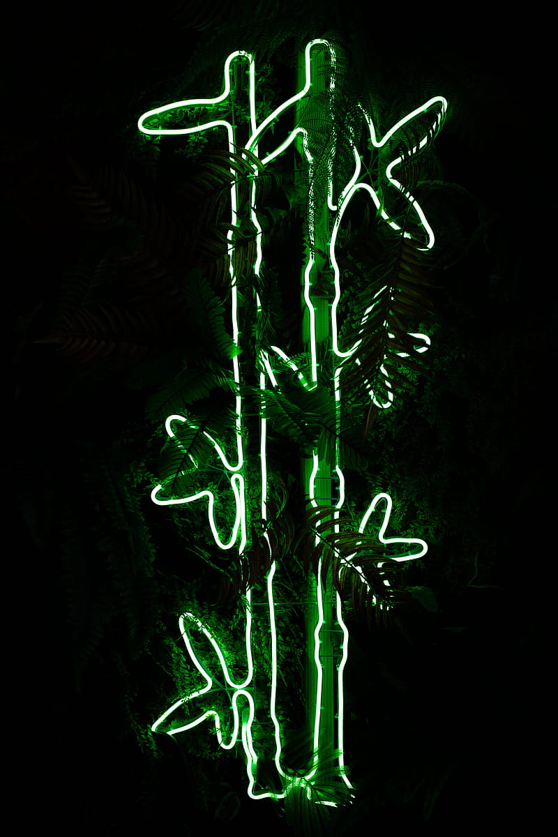 bamboo, neon, light, plant, green, HD phone wallpaper