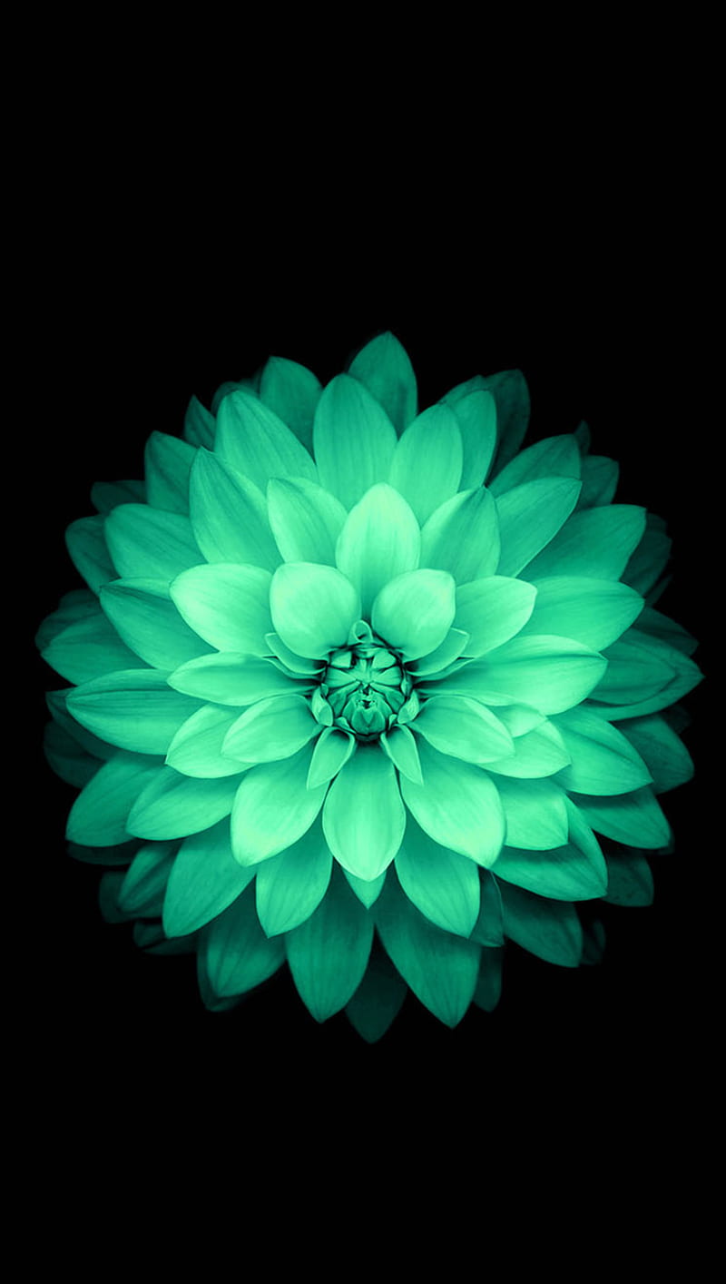 flower, green, neon, HD phone wallpaper