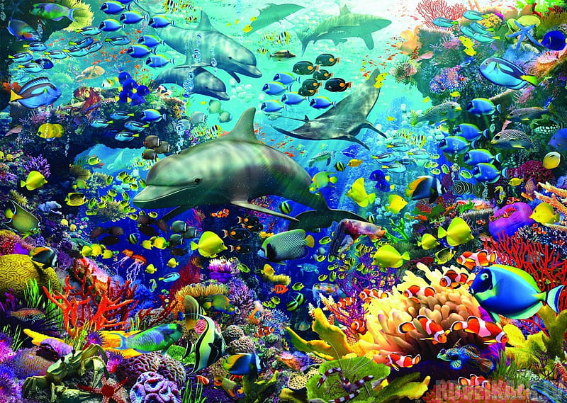 Sea Life Animals, life, ocean, animals, sea, puzzles, HD wallpaper