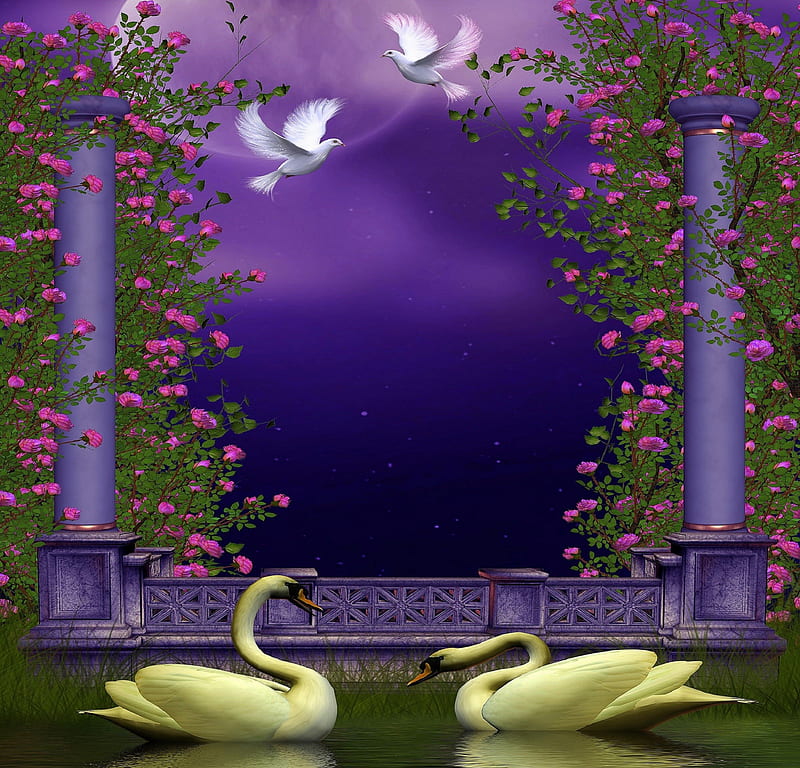 ✫Couple Together✫, roses garden, grass, couples, premade BG, together, creeping plants, pillars, doves, stock , exterior, animals, love four seasons, creative pre-made, roses, swans, pond, gardens and parks, backgrounds, HD wallpaper