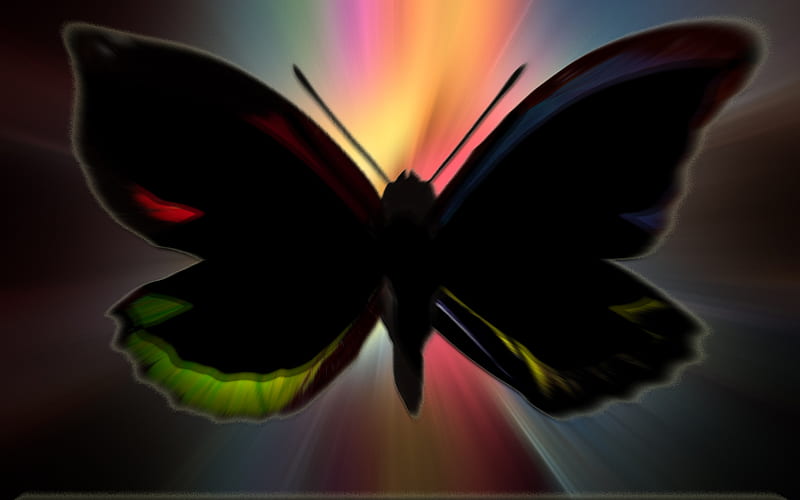 BACKLIT BUTTERFLY, 3d, butterfly, backlit, HD wallpaper