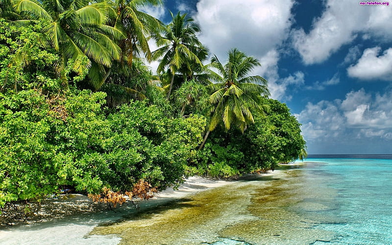 Perfect Beach Escape, reef, perfect, palm, sea, beach, lagoon, sand, blue, exotic, islands, holiday, ocean, pacific, coral, trees, south, paradise, island, white, tropical, HD wallpaper