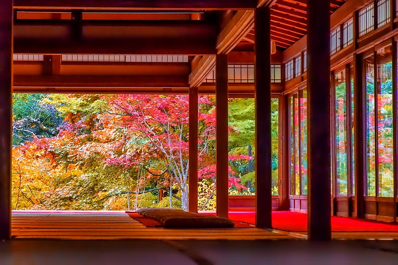 Japanese Room, red, autumn, japan, japanese, indoor, garden, room, HD wallpaper