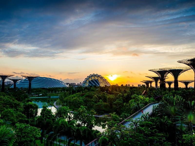 Singapore Garden, bridge, buildings, garden, nature, river, sunrise, park, trees, HD wallpaper