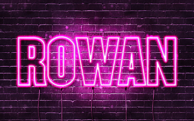Rowan with names, female names, Rowan name, purple neon lights, horizontal text, with Rowan name, HD wallpaper