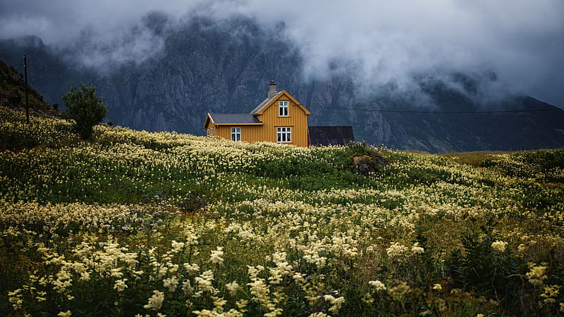 Beautiful Cottage And Field With Flowers In Background Of Clouds Touching Mountain Cottagecore, HD wallpaper